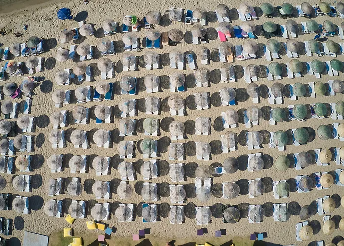 Ege Soley 3* Ayvalı